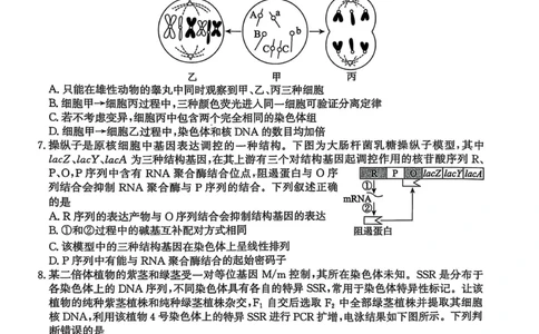 2025届河北省沧州市沧衡八县联考高三下学期一模生物试题（含答案）_2025年3月_2503152025届河北省沧州市沧衡八县联考一模（全科）