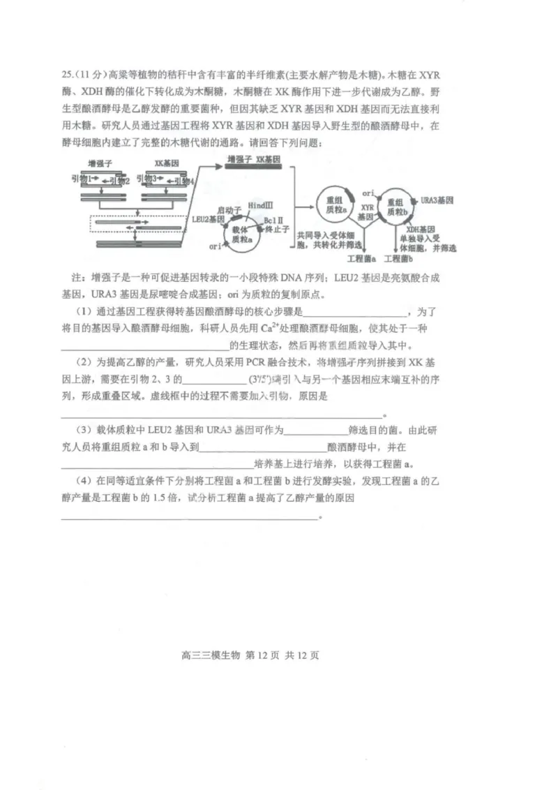 2025届黑龙江省哈尔滨市第三中学高三下学期第三次模拟考试生物试卷_2025年5月_0502黑龙江省哈尔滨市第三中学2025届高三下学期第三次模拟考试（全科）
