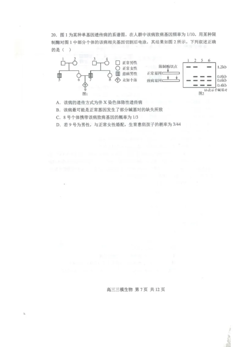 2025届黑龙江省哈尔滨市第三中学高三下学期第三次模拟考试生物试卷_2025年5月_0502黑龙江省哈尔滨市第三中学2025届高三下学期第三次模拟考试（全科）