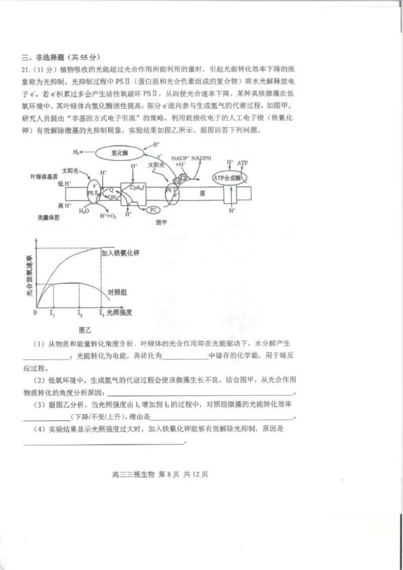 2025届黑龙江省哈尔滨市第三中学高三下学期第三次模拟考试生物试卷_2025年5月_0502黑龙江省哈尔滨市第三中学2025届高三下学期第三次模拟考试（全科）