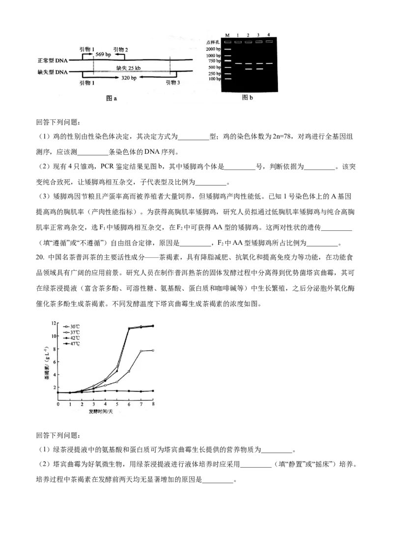 2025年1月八省联考高考综合改革适应性测试&mdash;&mdash;高三生物试卷Word版无答案（云南）_2025年1月_❤2025年高考综合改革适应性演练（八省联考）(1)