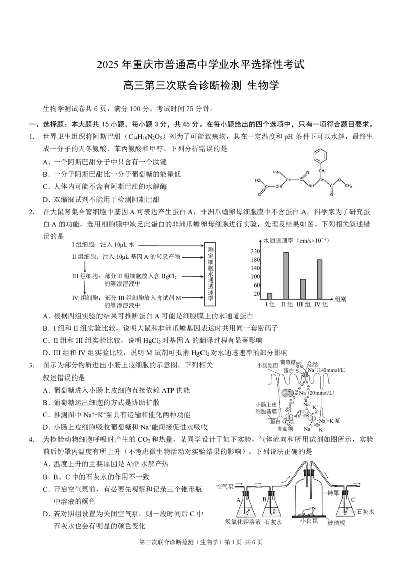 2025届重庆康德三诊生物+答案_2025年5月_250511重庆市2025年普通高等学校招生全国统一考试（康德三诊）（全科）