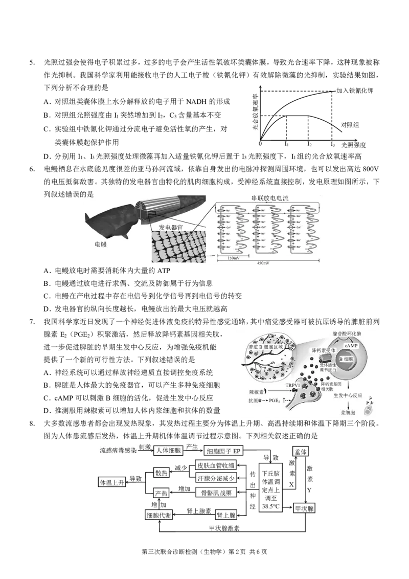 2025届重庆康德三诊生物+答案_2025年5月_250511重庆市2025年普通高等学校招生全国统一考试（康德三诊）（全科）