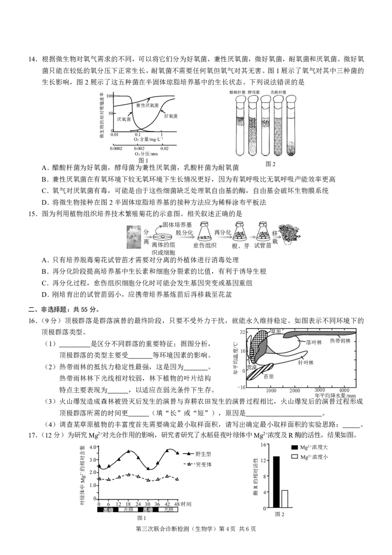 2025届重庆康德三诊生物+答案_2025年5月_250511重庆市2025年普通高等学校招生全国统一考试（康德三诊）（全科）
