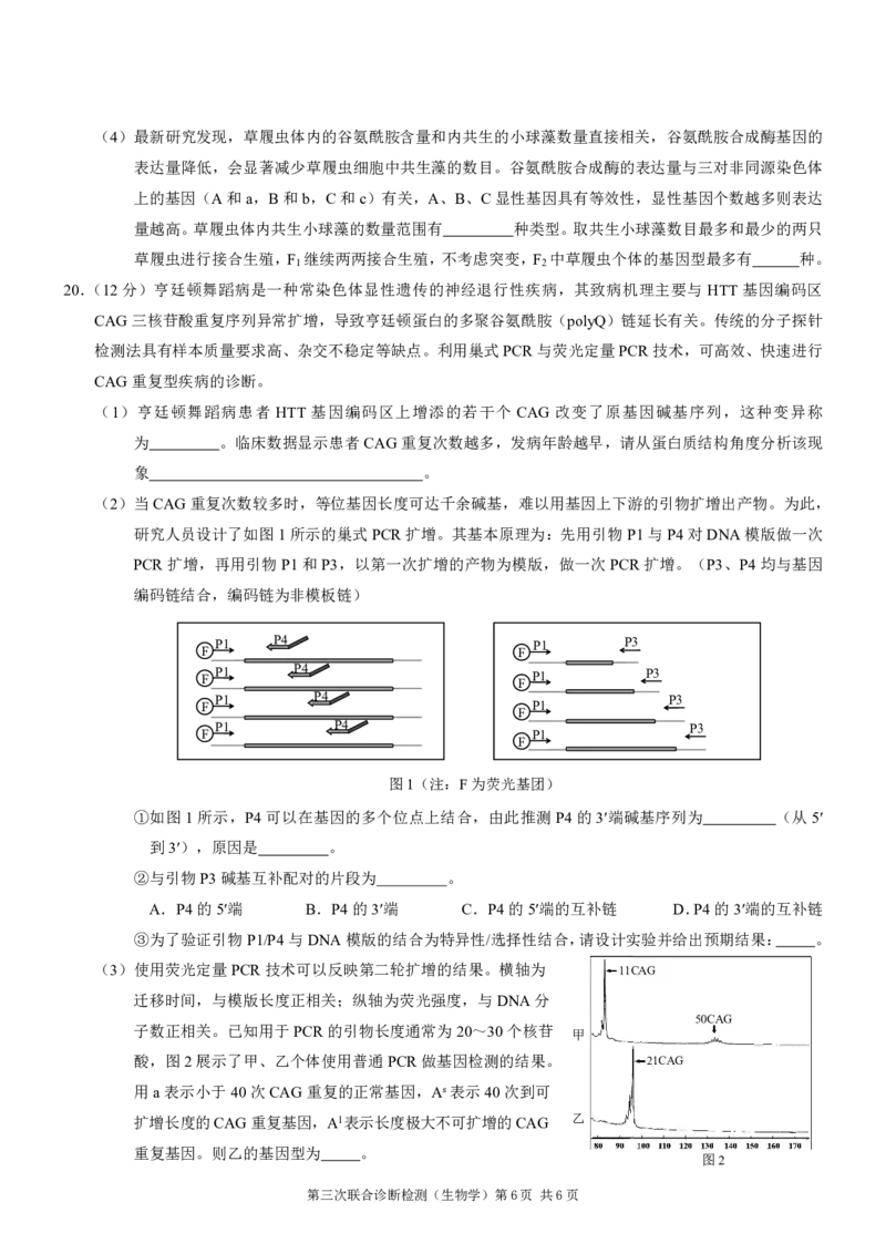 2025届重庆康德三诊生物+答案_2025年5月_250511重庆市2025年普通高等学校招生全国统一考试（康德三诊）（全科）