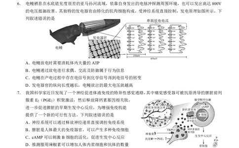 2025届重庆康德三诊生物+答案_2025年5月_250511重庆市2025年普通高等学校招生全国统一考试（康德三诊）（全科）