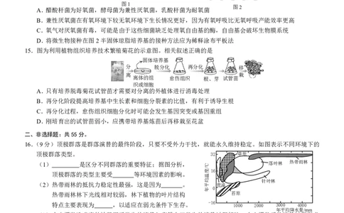 2025届重庆康德三诊生物+答案_2025年5月_250511重庆市2025年普通高等学校招生全国统一考试（康德三诊）（全科）