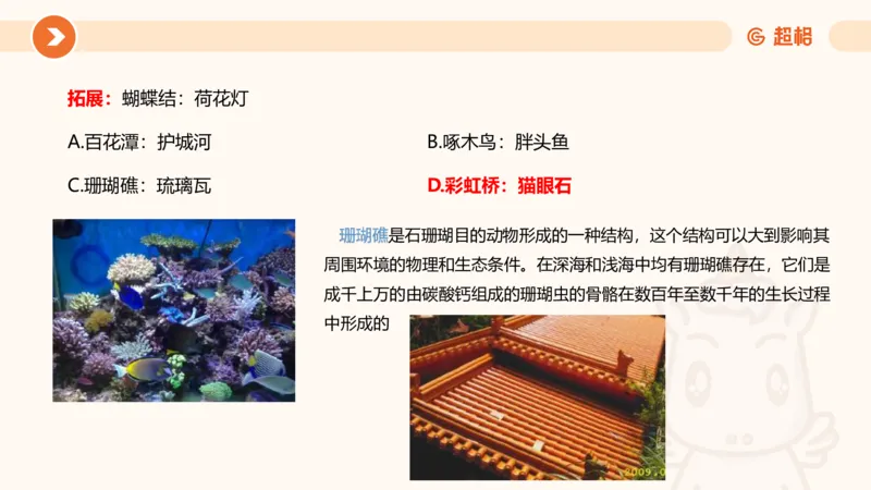 课件_20250121085704_2026考公资料_（05）超格_行测申论2025超格合集(行测&申论&政治理论)_行测申论2025省考超格超大杯刷题课（五合一）_课件_其他