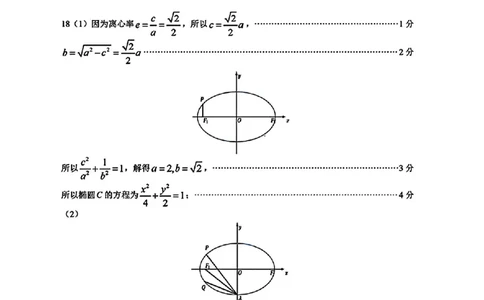 东莞揭阳韶关期末数学答案_2025年1月_250113广东省东莞市、揭阳市、韶关市2024-2025学年高三上学期期末考试_广东省东莞市、揭阳市、韶关市2024-2025学年高三上学期期末考试数学