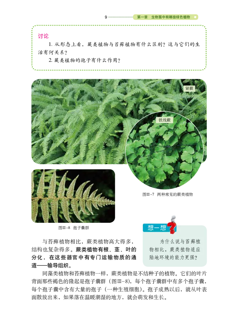 鲁教版6年级生物下册高清教材_4-教培资料-26年最新资料-同步更新_初中高中教资_03科三专项（进去保存报考的学科即可）_02科三专项（笔记真题思维导图教学设计版本二）