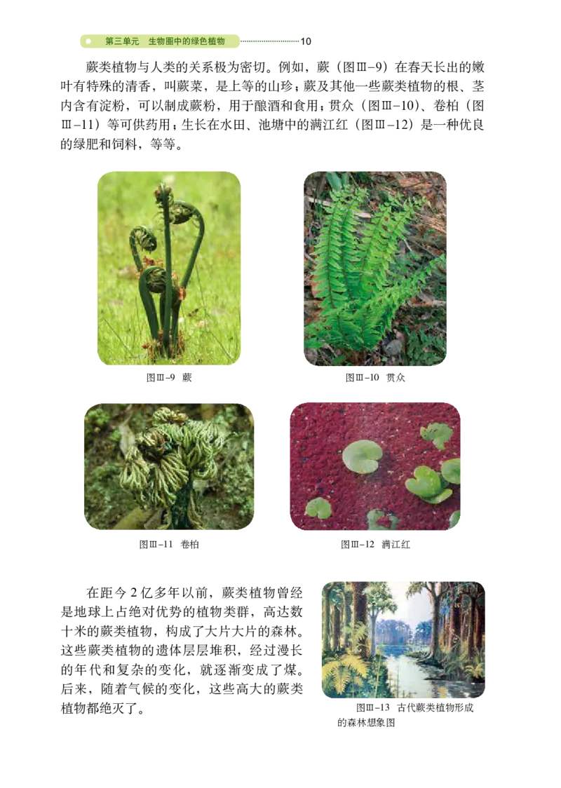 鲁教版6年级生物下册高清教材_4-教培资料-26年最新资料-同步更新_初中高中教资_03科三专项（进去保存报考的学科即可）_02科三专项（笔记真题思维导图教学设计版本二）