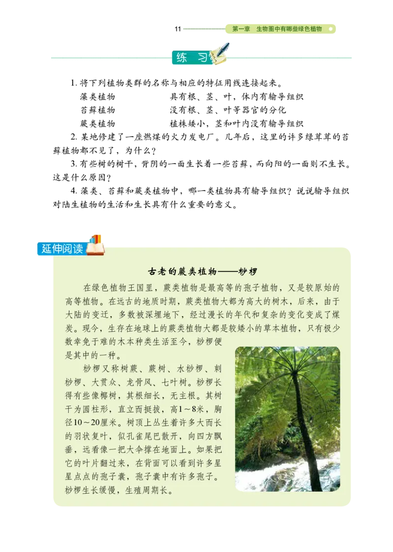 鲁教版6年级生物下册高清教材_4-教培资料-26年最新资料-同步更新_初中高中教资_03科三专项（进去保存报考的学科即可）_02科三专项（笔记真题思维导图教学设计版本二）