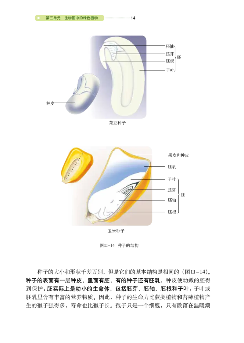 鲁教版6年级生物下册高清教材_4-教培资料-26年最新资料-同步更新_初中高中教资_03科三专项（进去保存报考的学科即可）_02科三专项（笔记真题思维导图教学设计版本二）