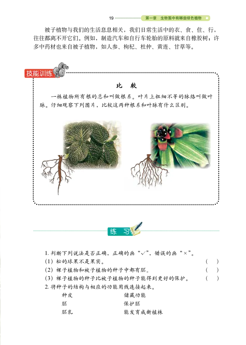 鲁教版6年级生物下册高清教材_4-教培资料-26年最新资料-同步更新_初中高中教资_03科三专项（进去保存报考的学科即可）_02科三专项（笔记真题思维导图教学设计版本二）