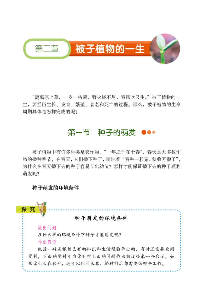 鲁教版6年级生物下册高清教材_4-教培资料-26年最新资料-同步更新_初中高中教资_03科三专项（进去保存报考的学科即可）_02科三专项（笔记真题思维导图教学设计版本二）