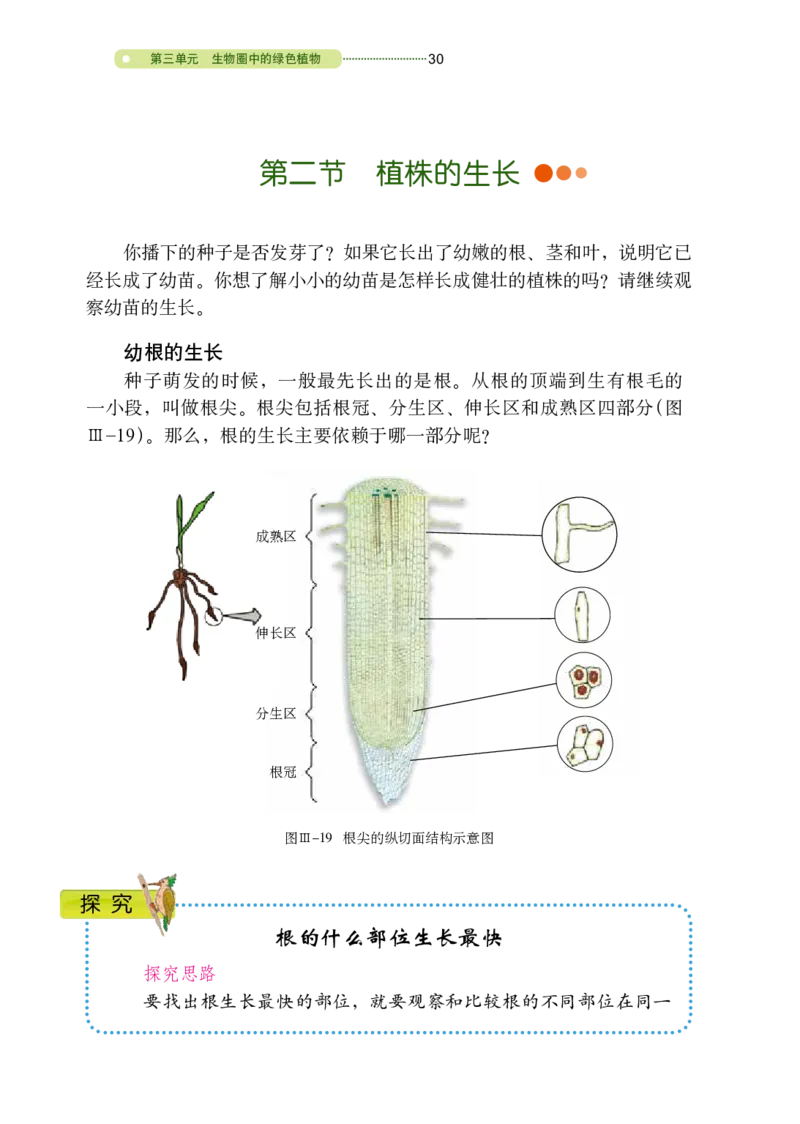 鲁教版6年级生物下册高清教材_4-教培资料-26年最新资料-同步更新_初中高中教资_03科三专项（进去保存报考的学科即可）_02科三专项（笔记真题思维导图教学设计版本二）