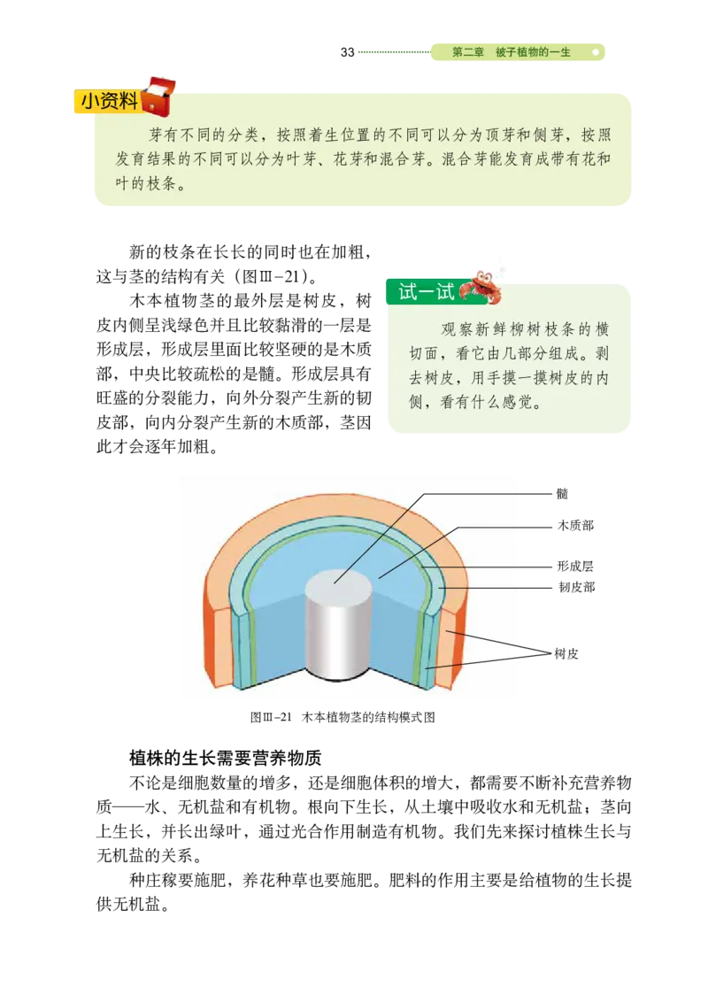 鲁教版6年级生物下册高清教材_4-教培资料-26年最新资料-同步更新_初中高中教资_03科三专项（进去保存报考的学科即可）_02科三专项（笔记真题思维导图教学设计版本二）