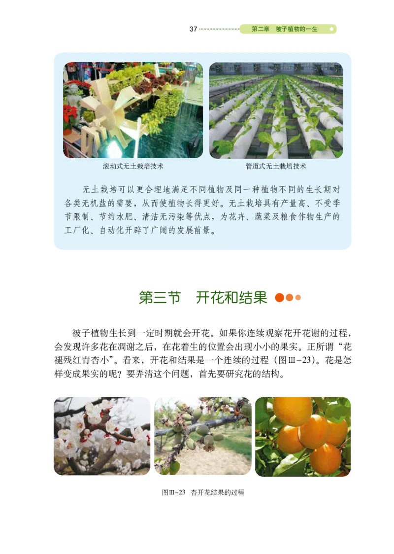 鲁教版6年级生物下册高清教材_4-教培资料-26年最新资料-同步更新_初中高中教资_03科三专项（进去保存报考的学科即可）_02科三专项（笔记真题思维导图教学设计版本二）