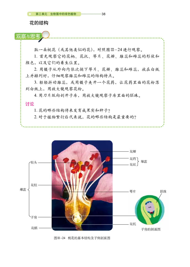 鲁教版6年级生物下册高清教材_4-教培资料-26年最新资料-同步更新_初中高中教资_03科三专项（进去保存报考的学科即可）_02科三专项（笔记真题思维导图教学设计版本二）