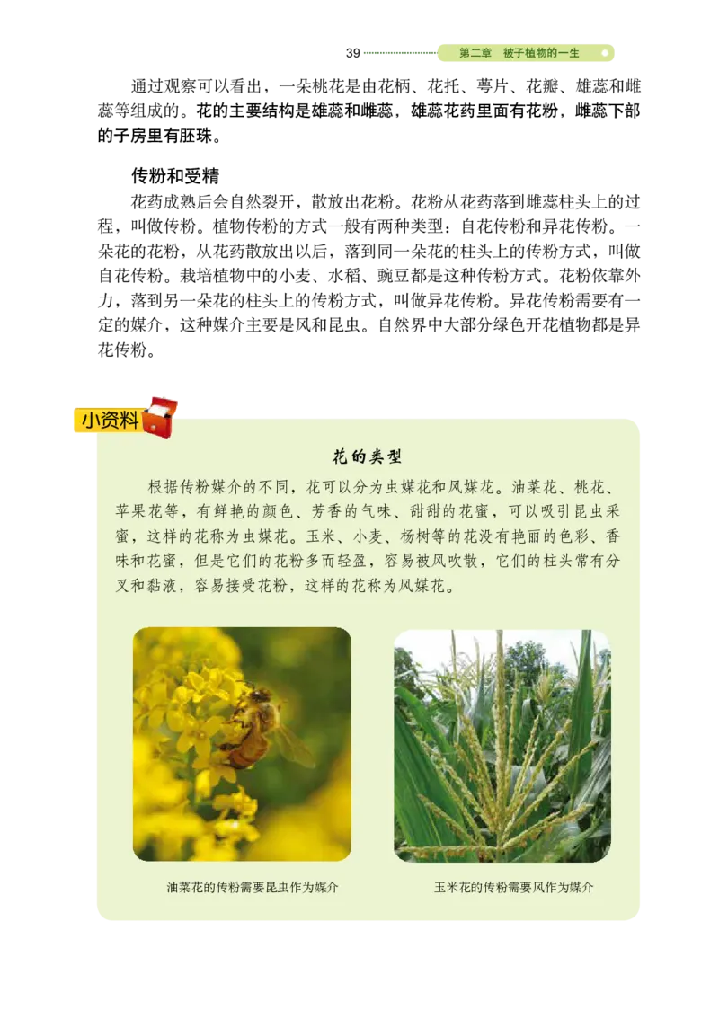 鲁教版6年级生物下册高清教材_4-教培资料-26年最新资料-同步更新_初中高中教资_03科三专项（进去保存报考的学科即可）_02科三专项（笔记真题思维导图教学设计版本二）