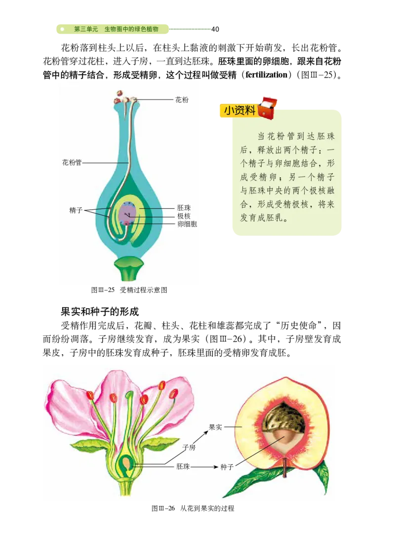 鲁教版6年级生物下册高清教材_4-教培资料-26年最新资料-同步更新_初中高中教资_03科三专项（进去保存报考的学科即可）_02科三专项（笔记真题思维导图教学设计版本二）