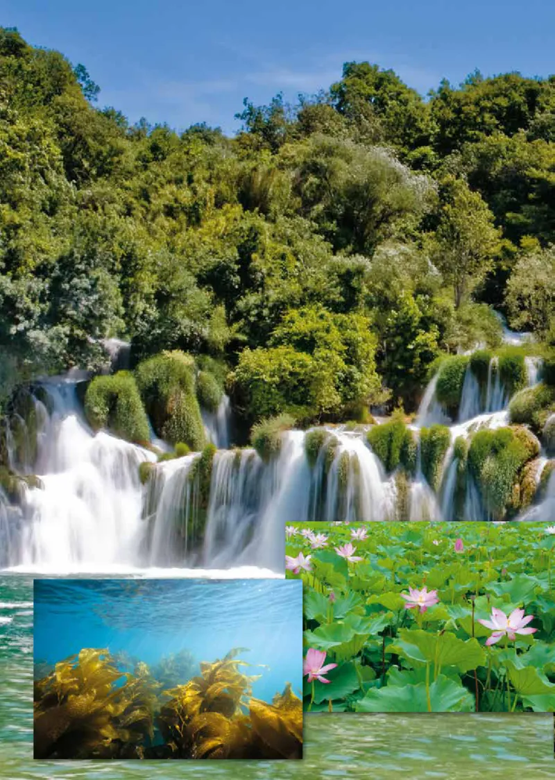 鲁教版6年级生物下册高清教材_4-教培资料-26年最新资料-同步更新_初中高中教资_03科三专项（进去保存报考的学科即可）_02科三专项（笔记真题思维导图教学设计版本二）