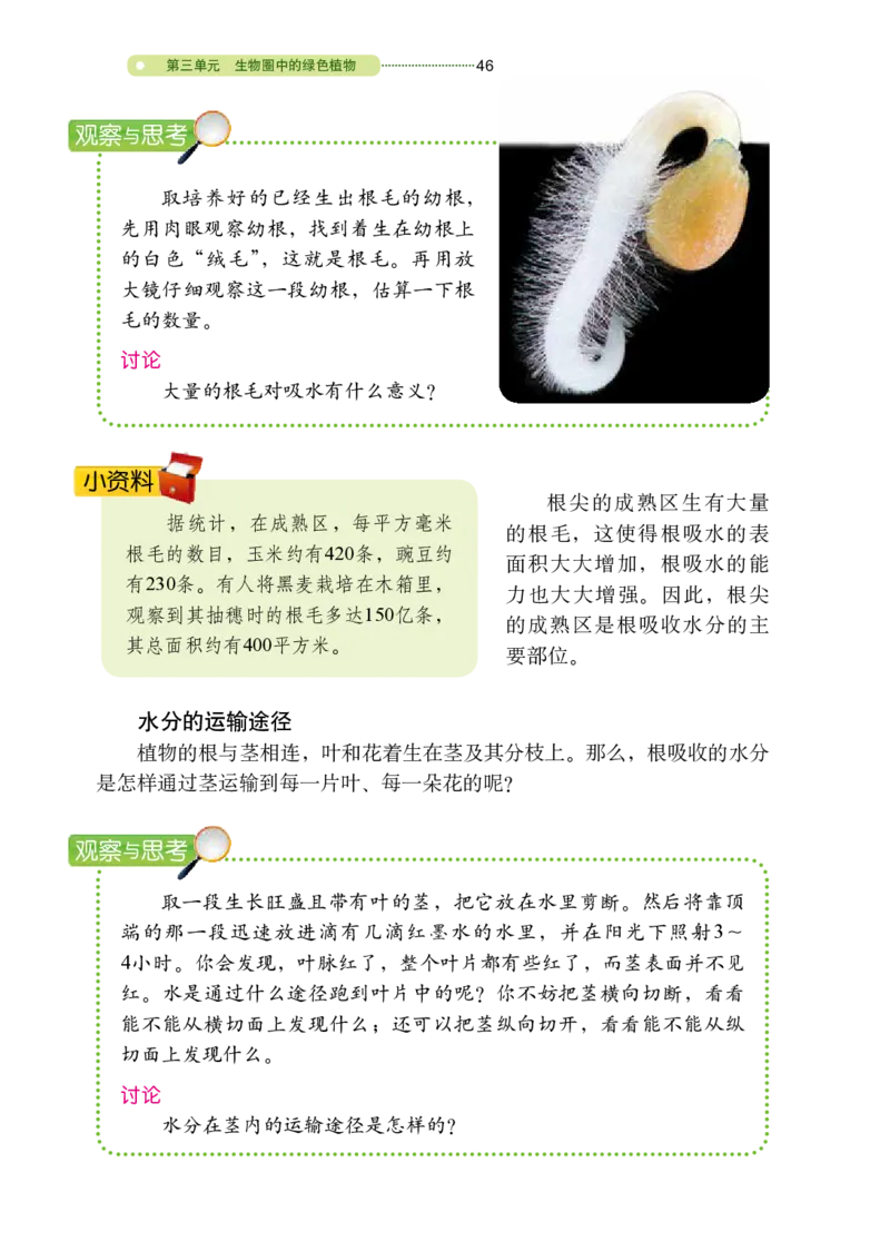 鲁教版6年级生物下册高清教材_4-教培资料-26年最新资料-同步更新_初中高中教资_03科三专项（进去保存报考的学科即可）_02科三专项（笔记真题思维导图教学设计版本二）