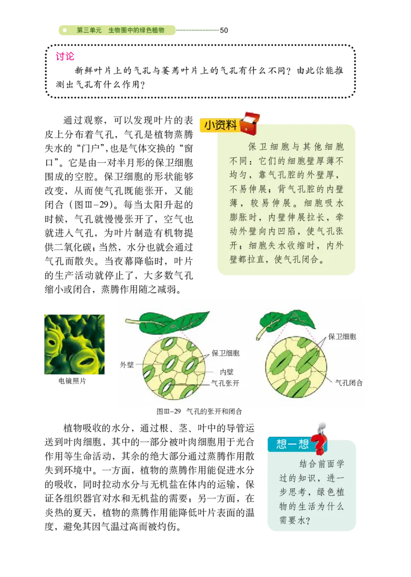 鲁教版6年级生物下册高清教材_4-教培资料-26年最新资料-同步更新_初中高中教资_03科三专项（进去保存报考的学科即可）_02科三专项（笔记真题思维导图教学设计版本二）