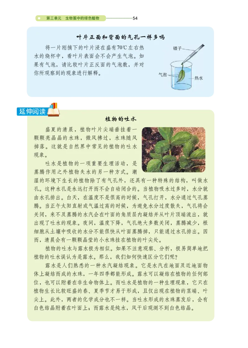 鲁教版6年级生物下册高清教材_4-教培资料-26年最新资料-同步更新_初中高中教资_03科三专项（进去保存报考的学科即可）_02科三专项（笔记真题思维导图教学设计版本二）