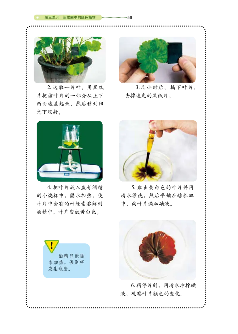 鲁教版6年级生物下册高清教材_4-教培资料-26年最新资料-同步更新_初中高中教资_03科三专项（进去保存报考的学科即可）_02科三专项（笔记真题思维导图教学设计版本二）