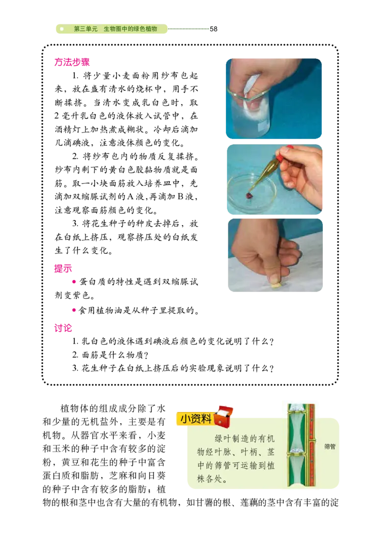 鲁教版6年级生物下册高清教材_4-教培资料-26年最新资料-同步更新_初中高中教资_03科三专项（进去保存报考的学科即可）_02科三专项（笔记真题思维导图教学设计版本二）