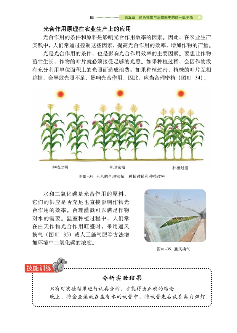 鲁教版6年级生物下册高清教材_4-教培资料-26年最新资料-同步更新_初中高中教资_03科三专项（进去保存报考的学科即可）_02科三专项（笔记真题思维导图教学设计版本二）