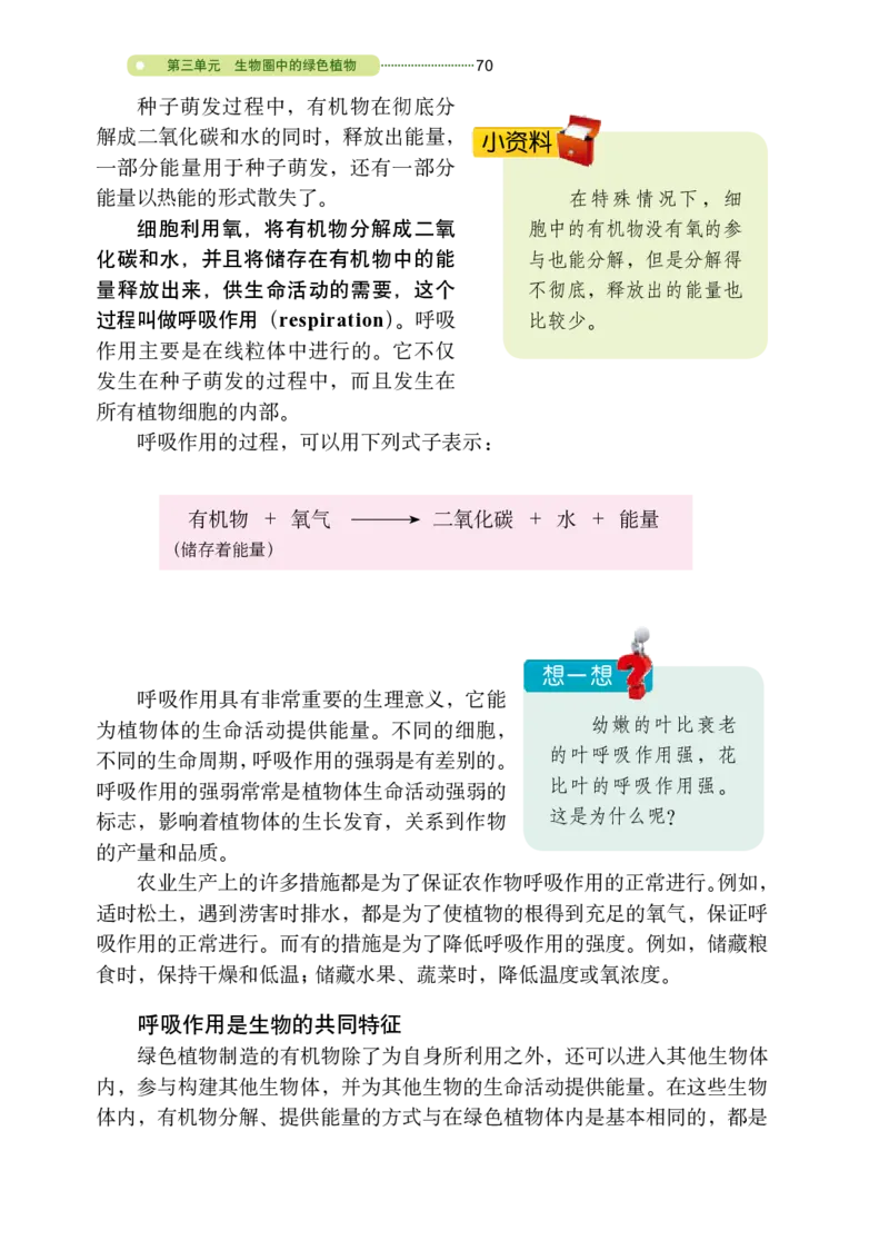鲁教版6年级生物下册高清教材_4-教培资料-26年最新资料-同步更新_初中高中教资_03科三专项（进去保存报考的学科即可）_02科三专项（笔记真题思维导图教学设计版本二）