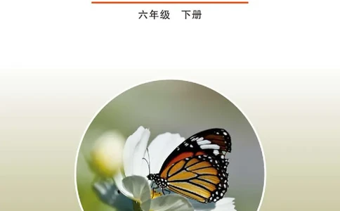 鲁教版6年级生物下册高清教材_4-教培资料-26年最新资料-同步更新_初中高中教资_03科三专项（进去保存报考的学科即可）_02科三专项（笔记真题思维导图教学设计版本二）