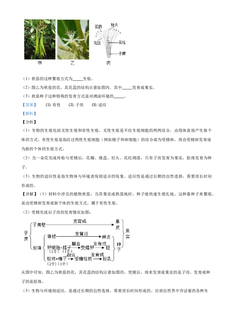 精品解析：浙江省台州市2020年中考科学试题（解析版）_中考真题_7.政治中考真题2015-2024年_2020政治真题79份_2020年中考真题精品解析科学（浙江台州卷）精编word版