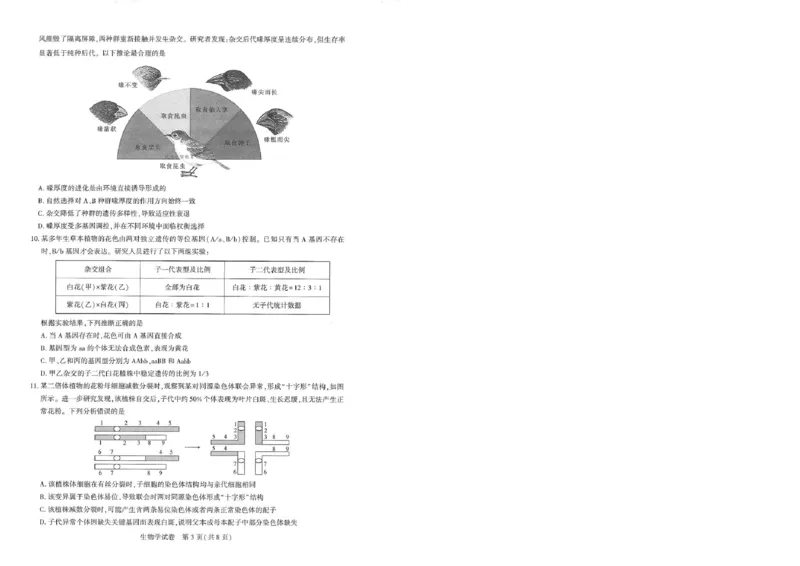 25届圆创联盟3月联考生物_2025年3月_250327湖北省圆创教育教研中心2025届高三三月联合测评（全科）_湖北省圆创教育教研中心2025届高三三月联合测评生物