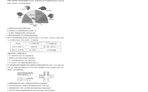 25届圆创联盟3月联考生物_2025年3月_250327湖北省圆创教育教研中心2025届高三三月联合测评（全科）_湖北省圆创教育教研中心2025届高三三月联合测评生物