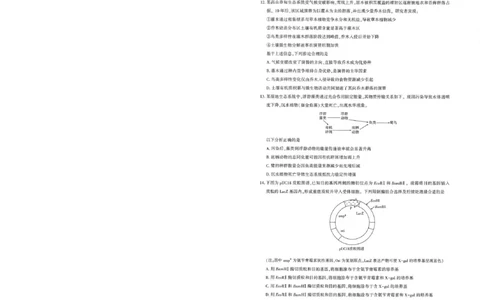 25届圆创联盟3月联考生物_2025年3月_250327湖北省圆创教育教研中心2025届高三三月联合测评（全科）_湖北省圆创教育教研中心2025届高三三月联合测评生物