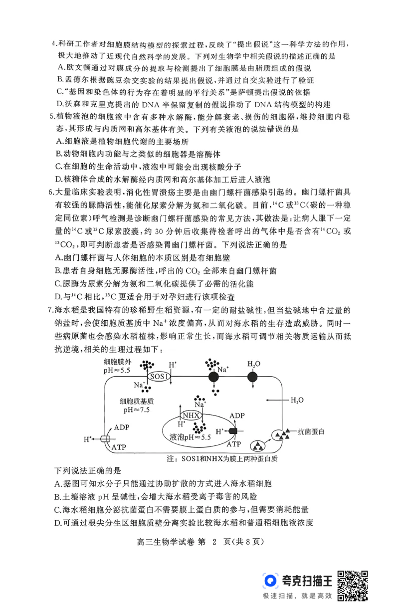 2025年秋黄冈市部分高中高三期中考试生物试题_2025年11月_251114湖北省黄冈市部分高中2026届高三上学期期中考试试卷（全科）_2025年秋黄冈市部分高中高三期中考试生物试题