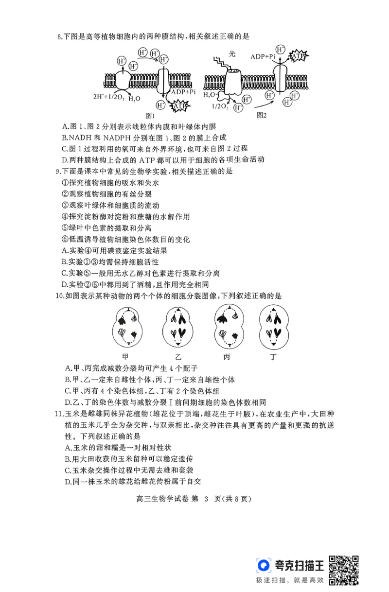 2025年秋黄冈市部分高中高三期中考试生物试题_2025年11月_251114湖北省黄冈市部分高中2026届高三上学期期中考试试卷（全科）_2025年秋黄冈市部分高中高三期中考试生物试题