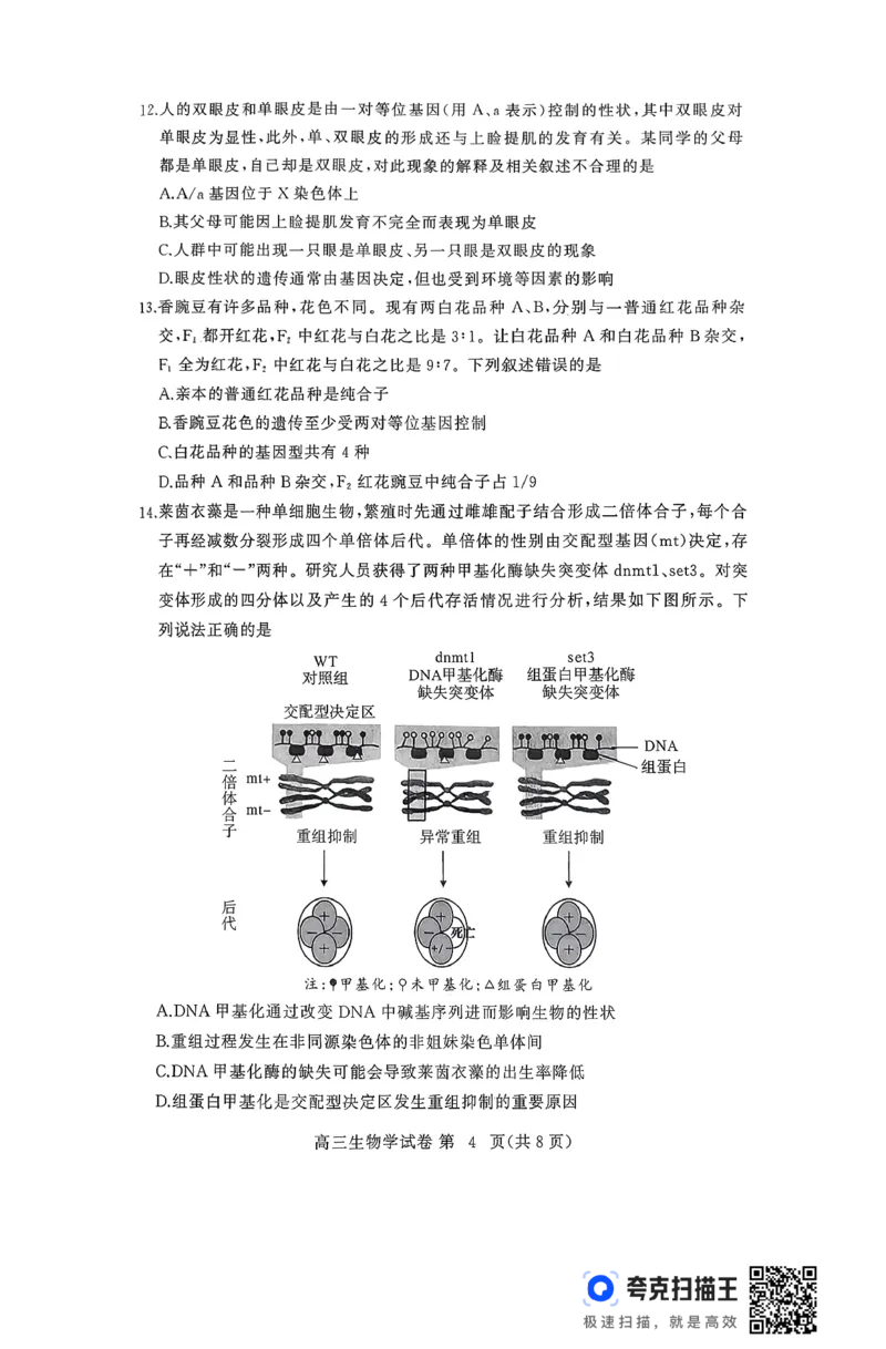 2025年秋黄冈市部分高中高三期中考试生物试题_2025年11月_251114湖北省黄冈市部分高中2026届高三上学期期中考试试卷（全科）_2025年秋黄冈市部分高中高三期中考试生物试题