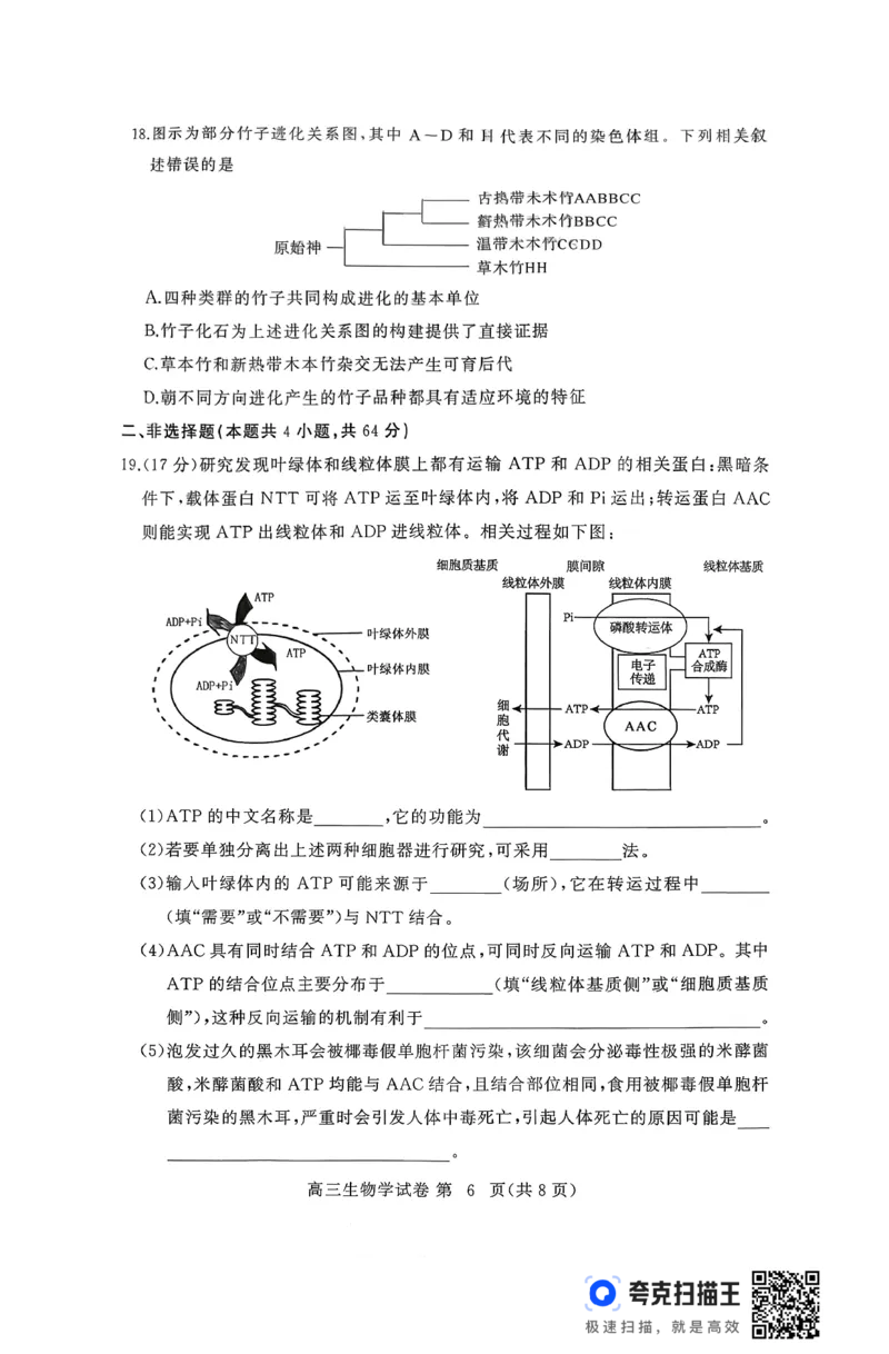 2025年秋黄冈市部分高中高三期中考试生物试题_2025年11月_251114湖北省黄冈市部分高中2026届高三上学期期中考试试卷（全科）_2025年秋黄冈市部分高中高三期中考试生物试题