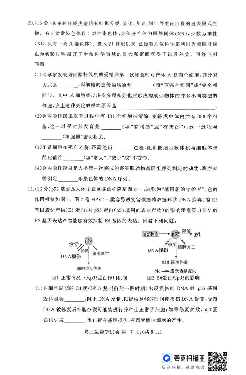 2025年秋黄冈市部分高中高三期中考试生物试题_2025年11月_251114湖北省黄冈市部分高中2026届高三上学期期中考试试卷（全科）_2025年秋黄冈市部分高中高三期中考试生物试题