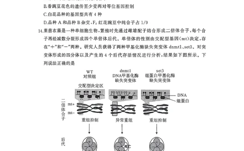 2025年秋黄冈市部分高中高三期中考试生物试题_2025年11月_251114湖北省黄冈市部分高中2026届高三上学期期中考试试卷（全科）_2025年秋黄冈市部分高中高三期中考试生物试题