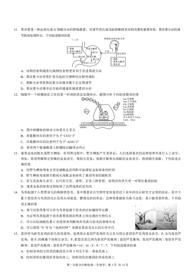 2025届重庆康德一诊生物_2025年1月_250119重庆市2025年普通高等学校招生全国统一考试（康德一诊）（全科）_生物