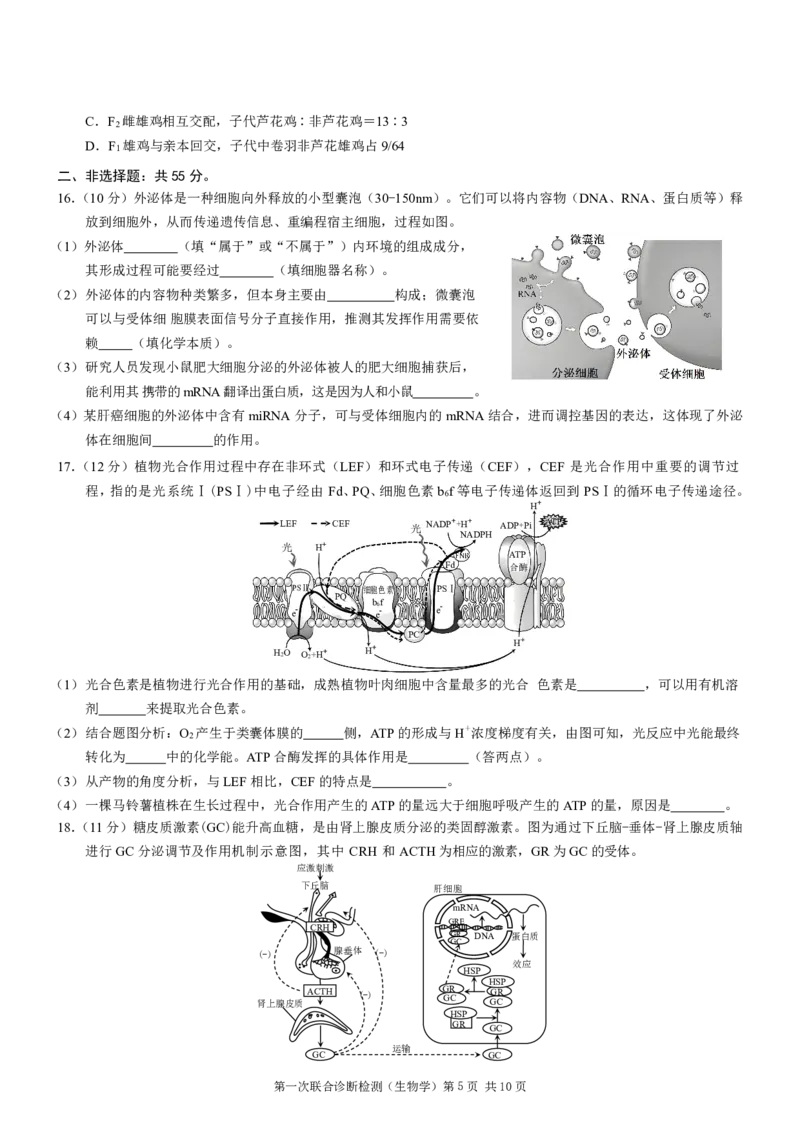 2025届重庆康德一诊生物_2025年1月_250119重庆市2025年普通高等学校招生全国统一考试（康德一诊）（全科）_生物