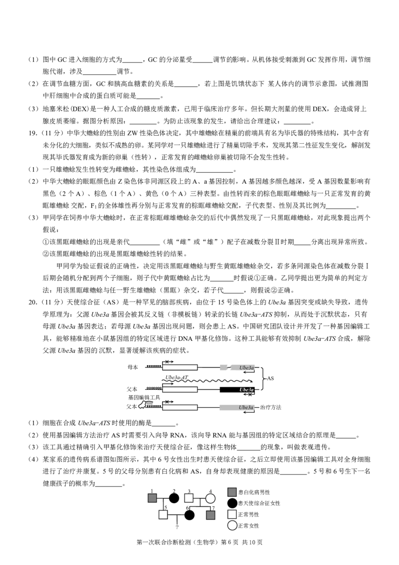 2025届重庆康德一诊生物_2025年1月_250119重庆市2025年普通高等学校招生全国统一考试（康德一诊）（全科）_生物