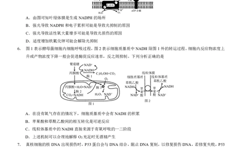 2025届重庆康德一诊生物_2025年1月_250119重庆市2025年普通高等学校招生全国统一考试（康德一诊）（全科）_生物