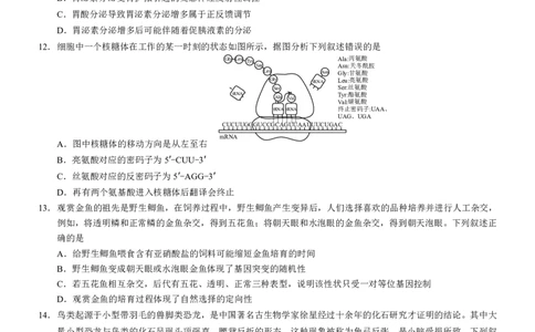 2025届重庆康德一诊生物_2025年1月_250119重庆市2025年普通高等学校招生全国统一考试（康德一诊）（全科）_生物