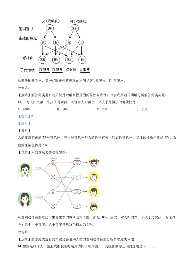 精品解析：贵州省遵义市2020年中考生物试题（解析版）_中考真题_8.生物中考真题2015-2024年_2020生物真题74份_2020年中考真题精品解析生物（贵州遵义卷）精编word版